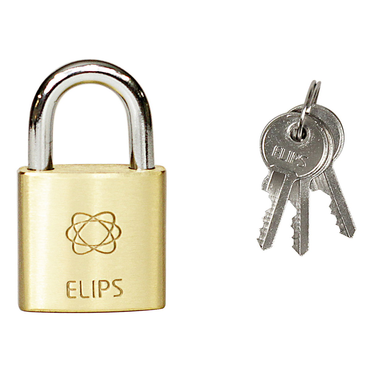 94829-8592218038200-d-rvelips25-2020 www 300 1200 12007